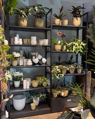 addison-regalsystem-flowershop_1