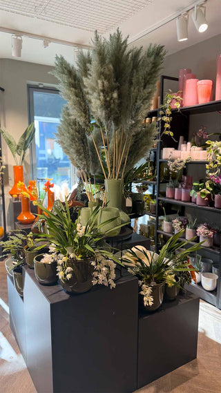 display-pedestals-s-kehr