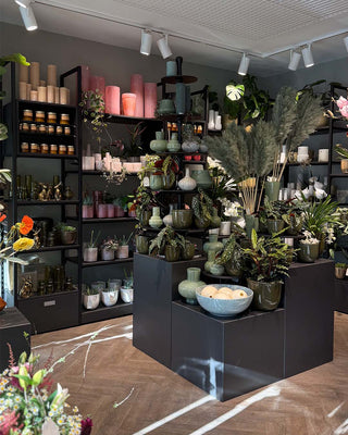 addison-regalsystem-flowershop-cube