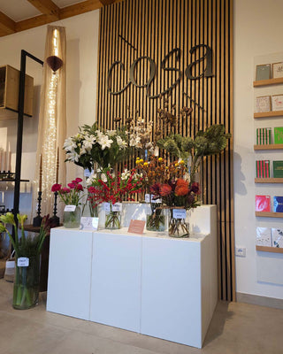 cosa-concept-lounge-mandai-design_3